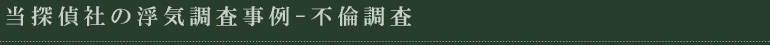 素行調査報告書